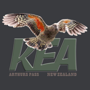 Kea - AS Colour Mens Staple T shirt Design